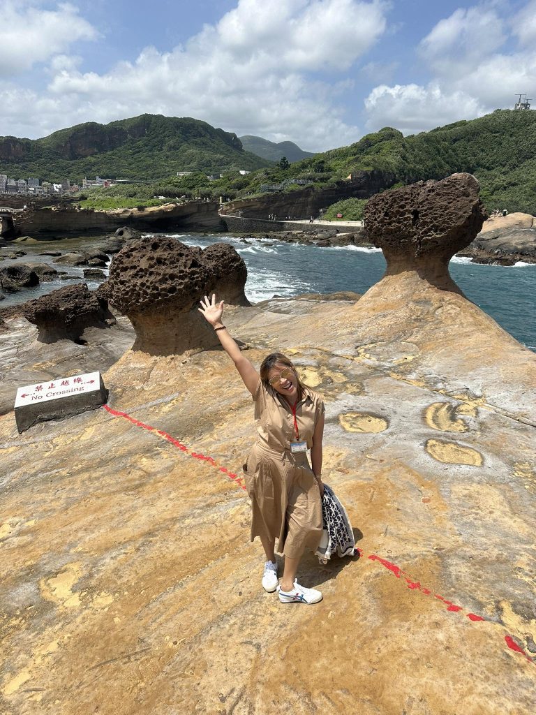 DISCOVER ORGANIZE-TAIWAN