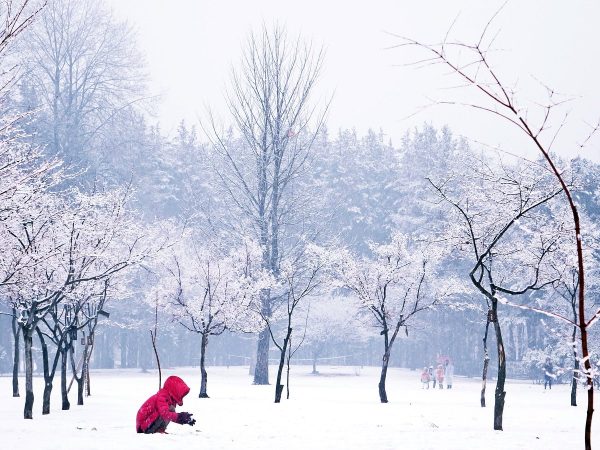 HEARTFELT KOREA (WINTER)